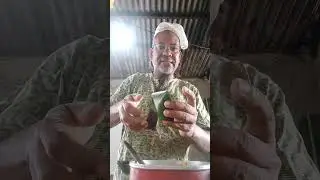 ensinando como si enrola abará