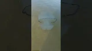 17 сентября 2022 г.
