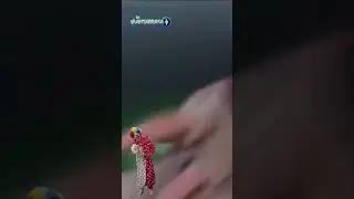 La GENTE esta LOCA 13 - La Mantarraya 😵‍💫