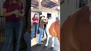 May 2022 Equine Workshop Video Recap