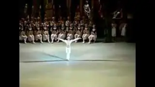 lilbaryshnikov   leonid sarafanov bayadere H 264 360p