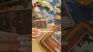 а былали любовь? а что сейчас? #никкиами