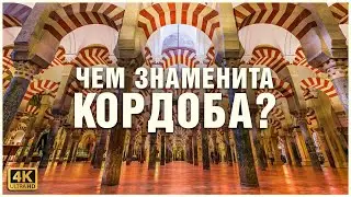 What to do in Cordoba/Cordoba, Spain?💐🕍🕌