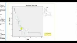 SPSS for medics: Kaplan-Meier survival curve analysis