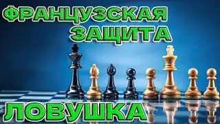 Французская защита Часть 4 #ловушка #chess #стратегии #французскаязащита