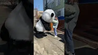 Большой мишка поздравляет с днем рождения #белыймишка #поздравление #аэромедведь