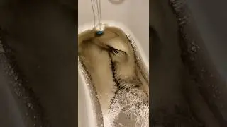 Вода в Бердичеві