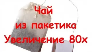 Чай из пакетика | Под микроскопом | Увеличение 80х