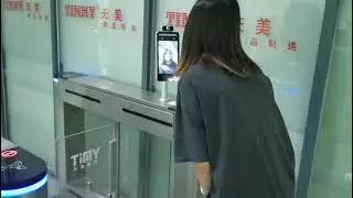AI08T Mask Detection