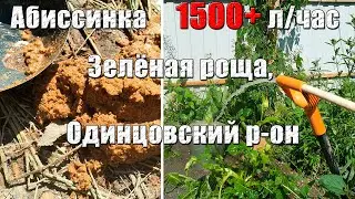 Абиссинка с хорошей водой в Одинцовском районе. Дебит 1500 л /час