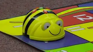 Bee Bot Okul Öncesi Programa Robotu