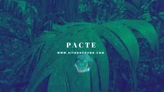AFRO HOUSE INSTRUMENTAL 2021 "PACTE" | INSTRU AFRO DANCE TYPE BEAT 2021