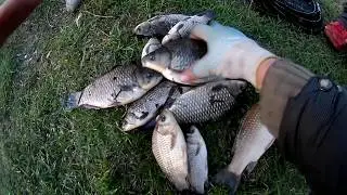 Весенний Карась! Загадочное Озеро!