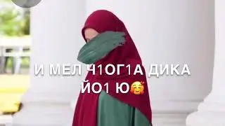 Амина