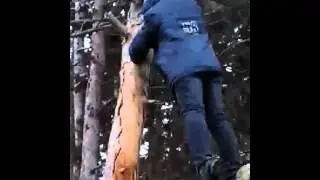 bizim mehle usaqlari