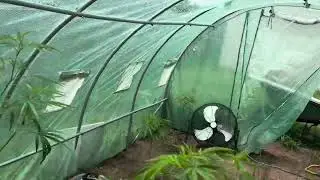 Grow update