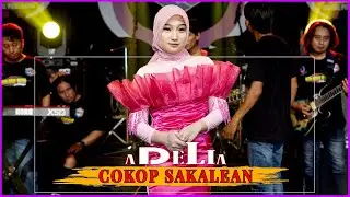Adelia - Cokop Sakalian [Official Live Music] | New RGS