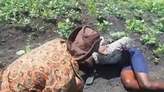anmwey gade jan tibwadis bon su dega