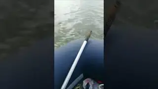 Покатушки. Лодка пвх 360 нднд. Мотор 9.9(15) 🚤