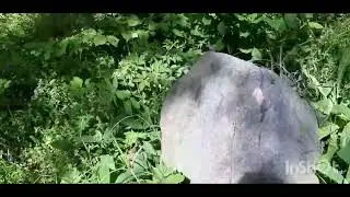МотоГрибоЯгоднаяКатка.Калужские Дебри.
