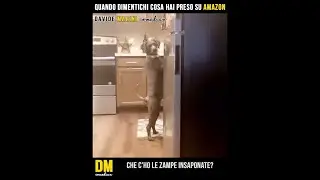 Quando dimentichi cosa hai preso su Amazon