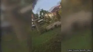 9-foot gator removed from neighborhood in Collier County, Florida