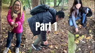 Free Chestnuts at Painshill Park, Cobham, Surrey, England