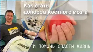 Как стать донором костного мозга и помочь спасти жизнь