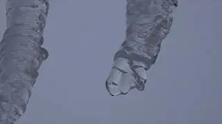 Канон 4 Михайлова Капель