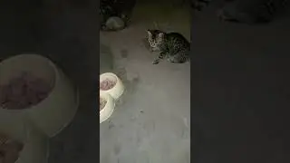 Запас заканчивается. Надо пополнять. А для этого нужна помощь неравнодушных людей.