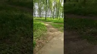 VID 20170524 1041351