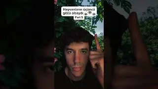 Hayvanların üçüncü gözü olsaydı 😳 | Part 5 #komikhayvanlar #sıradışı #ilginç #bilgi