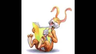 El libro sobre libros del conejo Mateo | Frances Watts
