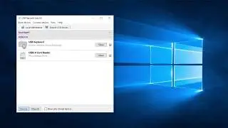 Hyper-V USB Passthrough with USB Network Gate