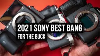 2021 Sony's MOST Affordable | Powerful Camera | Lenses - Buying Guide