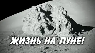 This is what the astronaut on the moon could find! Every person on Earth must find out!