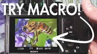 Intro to MACRO Photography (TIPS to get you STARTED)