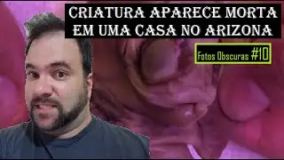 Criatura aparece morta em uma casa no Arizona - (Fotos Obscuras #10)