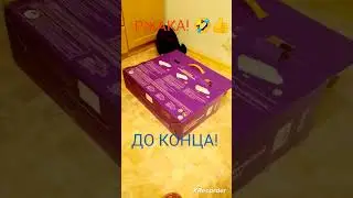 R.I.P коробка💀