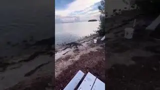 Неожиданный поворот на рыбалке 😅
