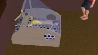 Sims 2 funny glitches