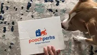 Poochperks sample box unboxing