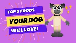 5 Dog-Friendly Superfoods You NEED to Try! 🐶✨