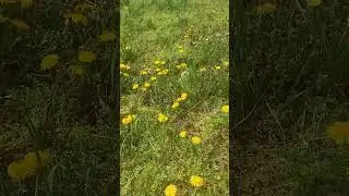 Весна!!!