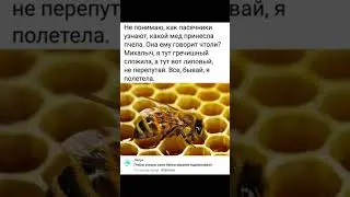 мемы с пчёлами/пчелиные мемы 
