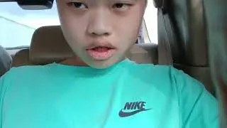 Cai Shunhong Screaming 2: Car