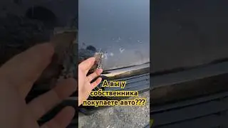 У собственника покупать автомобиль или у перекупа?