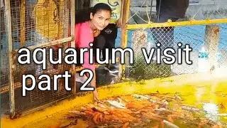 Marine world aquarium activities//come let's go!//vlog 36