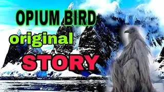 opium bird real story.। ओपियम की क्या है कहानी।#opinion #birds #information
