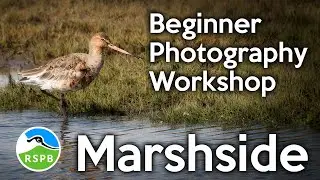 Photography Workshop at RSPB Marshside